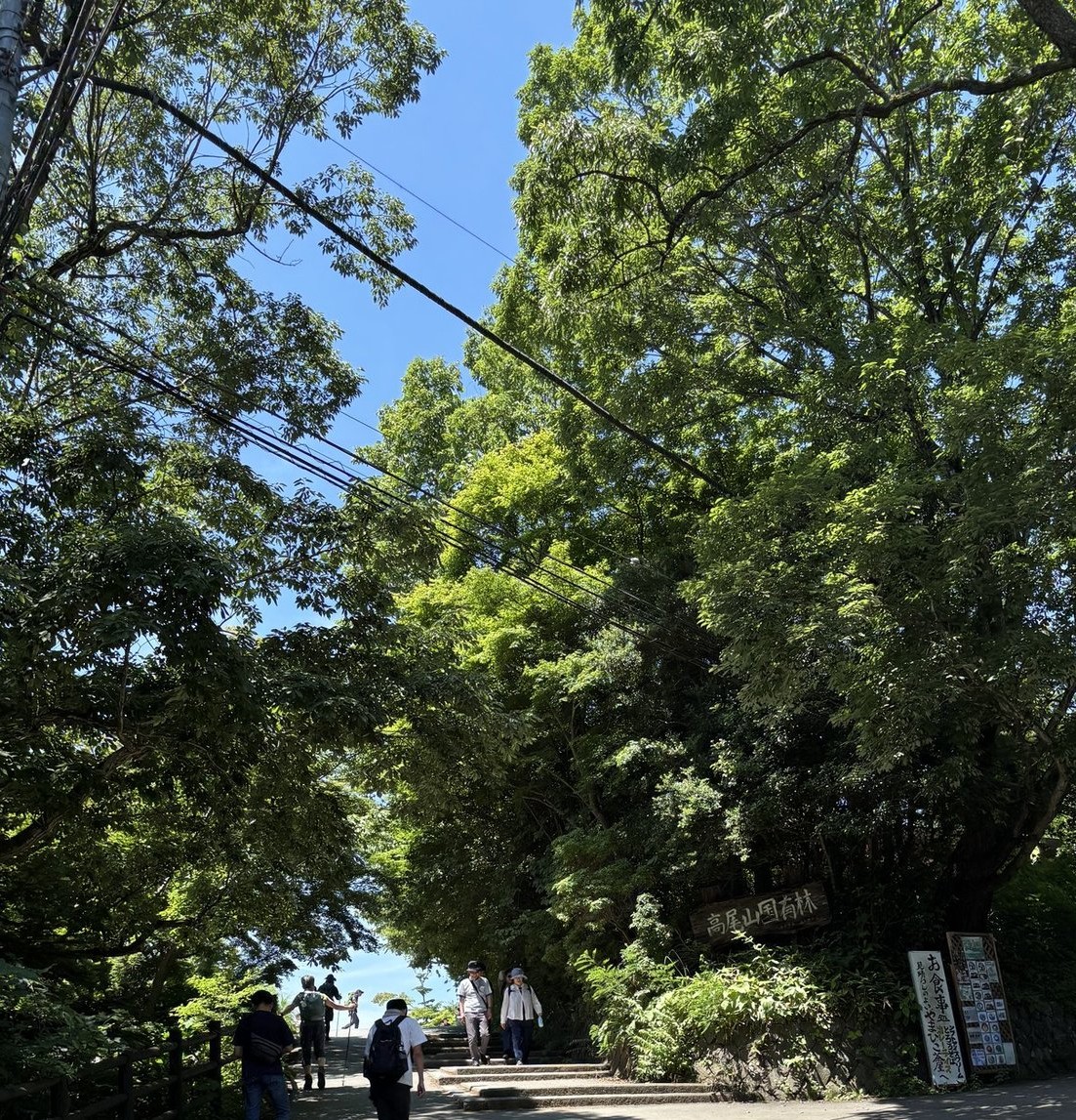 暑い日の高尾山は、このルー・・の画像
